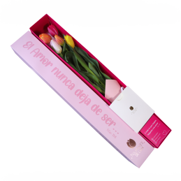 Caja 5 tulipanes